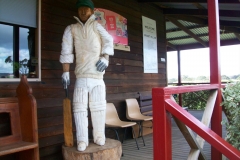 cricket17_1536x2048