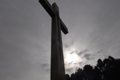 DSCF3078