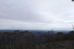 DSCF3100