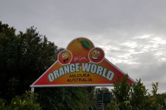 20180609_093131